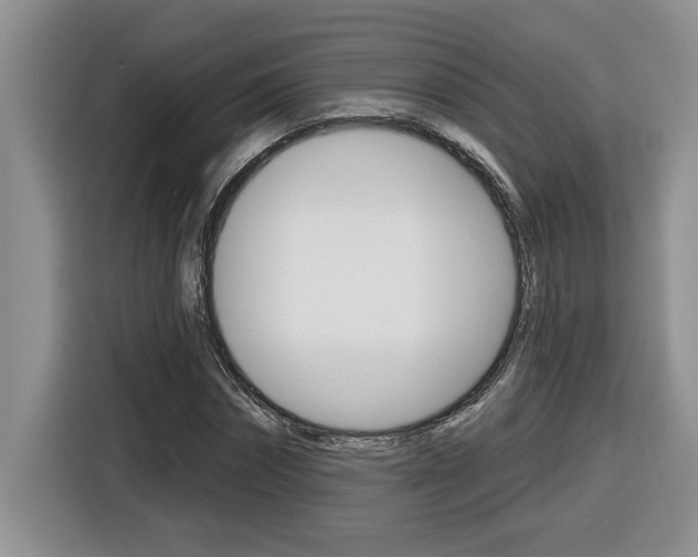 X0000116590874200912101330