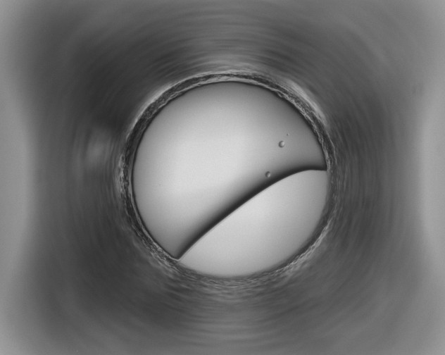 X0000116590875200912101330