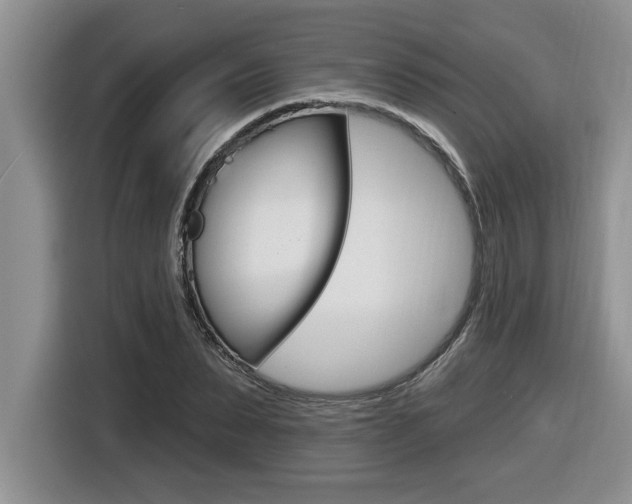 X0000116590879200912101329