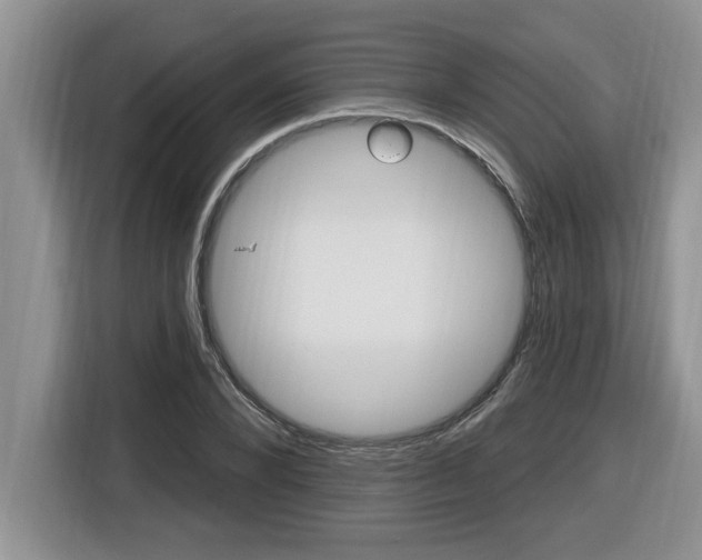 X0000116590880200912101329
