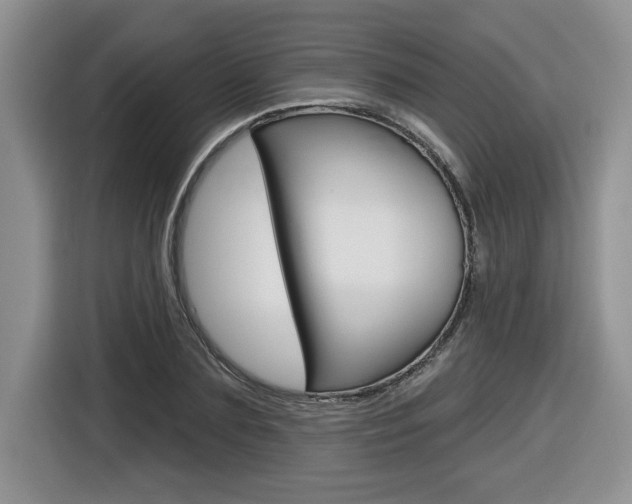 X0000116590883200912101329
