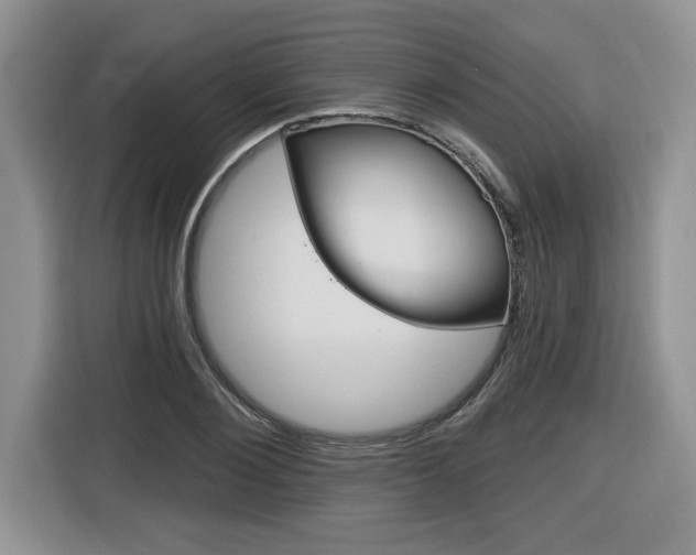 X0000116590884200912101329