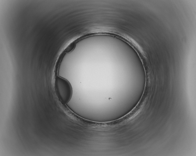 X0000116590885200912101329