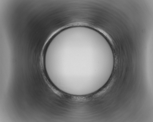 X0000116590886200912101329
