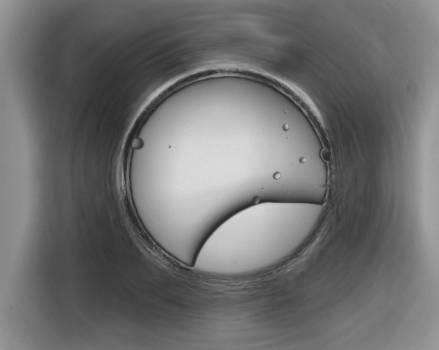 X0000116590887200912101329