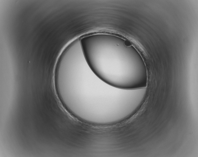 X0000116590888200912101329