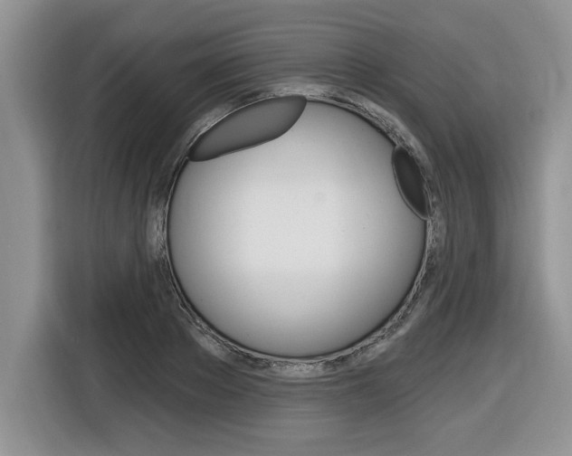 X0000116590889200912101329