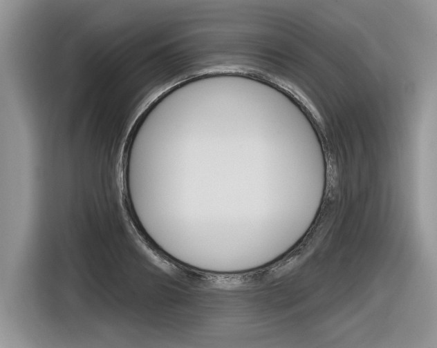 X0000116590890200912101329