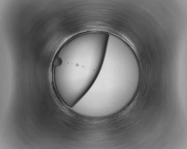 X0000116590891200912101329