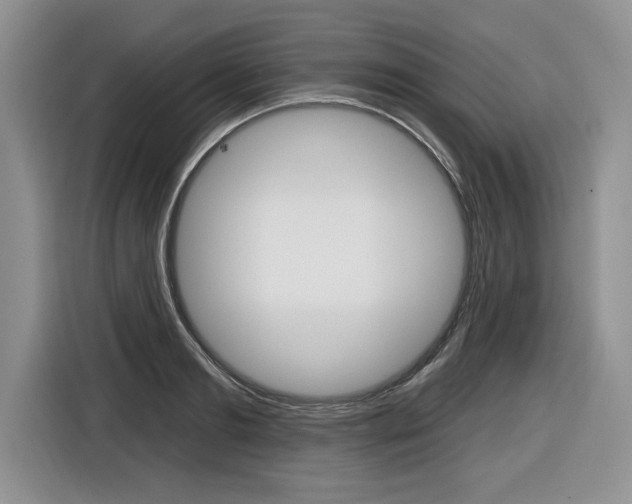 X0000116590893200912101329