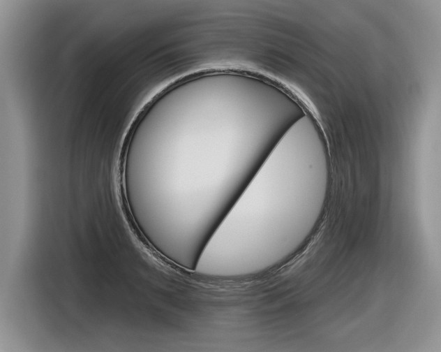 X0000116590895200912101329