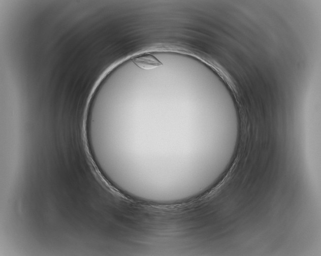 X0000116590896200912101329