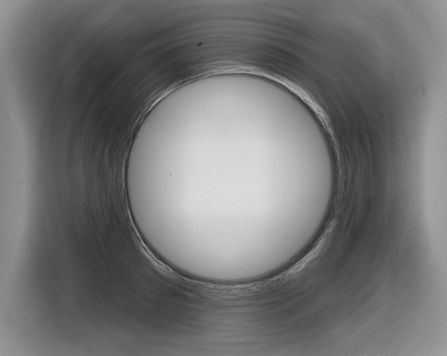 X0000116590897200912101329