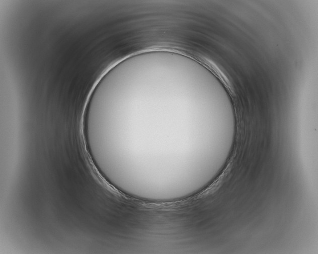 X0000116590900200912101329