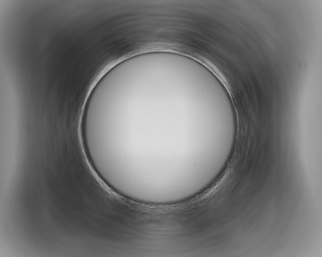 X0000116590901200912101329