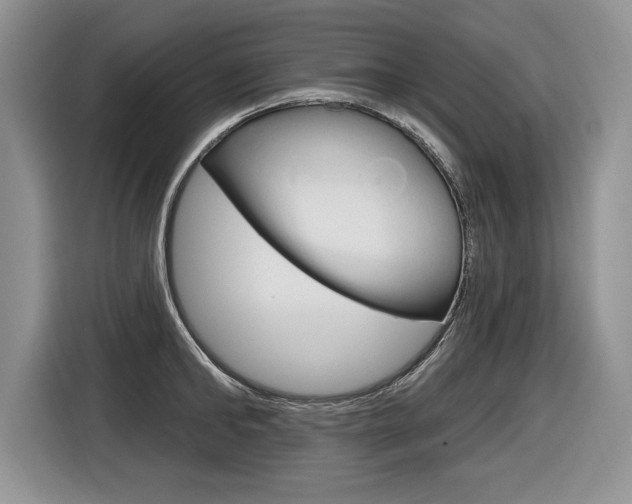 X0000116590902200912101329