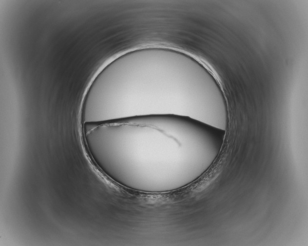 X0000116590903200912101329