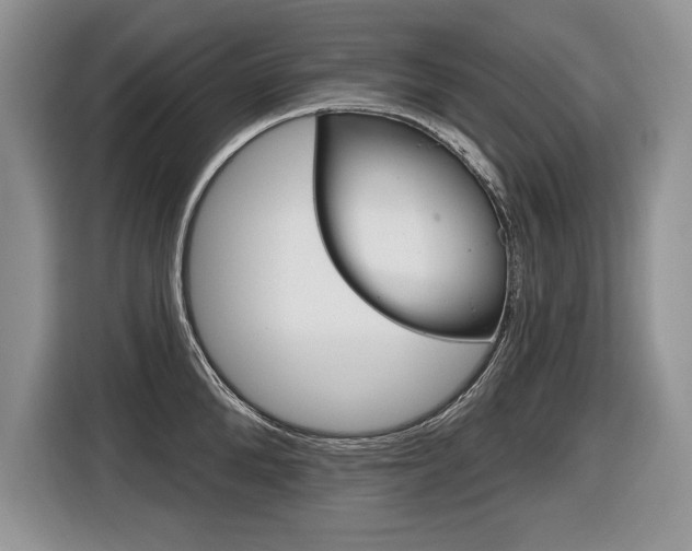 X0000116590904200912101329