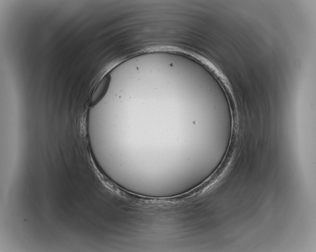 X0000116590905200912101329