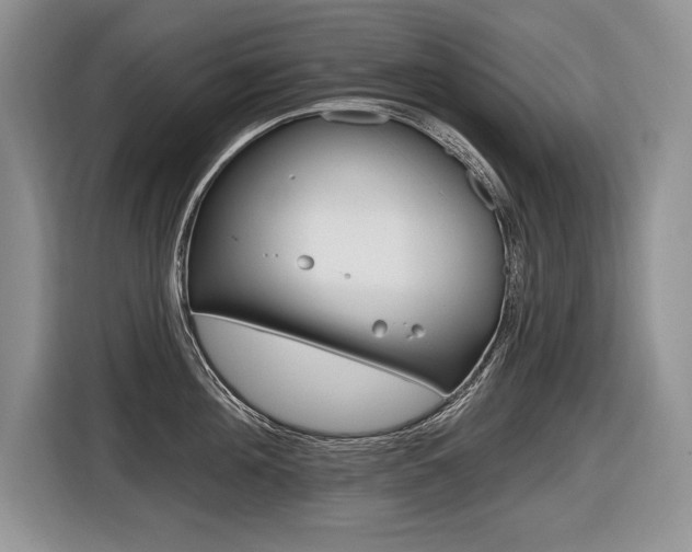 X0000116590908200912101329
