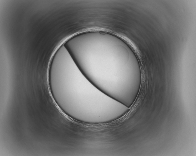 X0000116590910200912101329