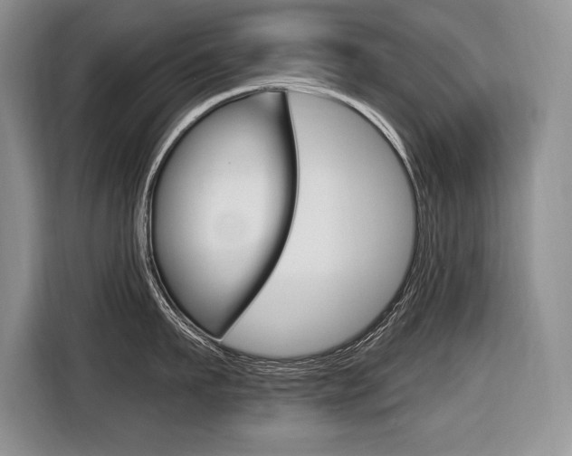 X0000116590911200912101329