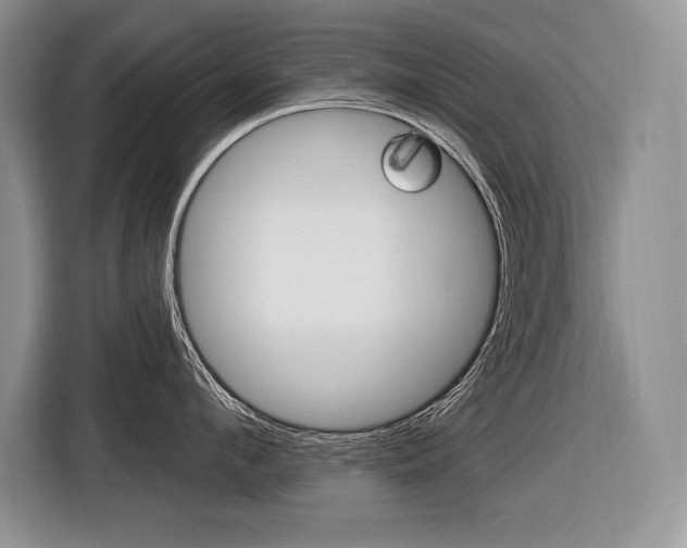 X0000116590912200912101329