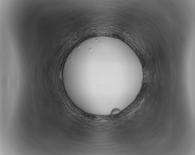 X0000116590913200912101328