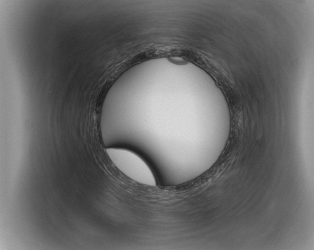 X0000116590914200912101328