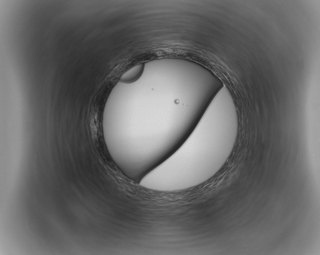 X0000116590915200912101328