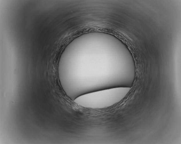 X0000116590917200912101328