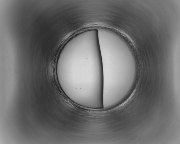 X0000116590921200912101328
