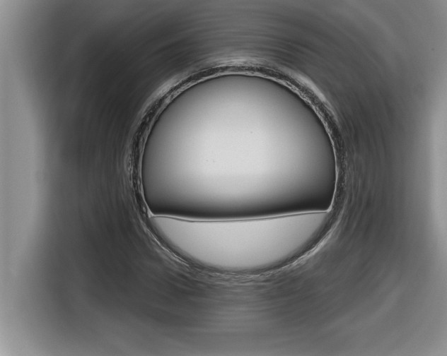 X0000116590922200912101328