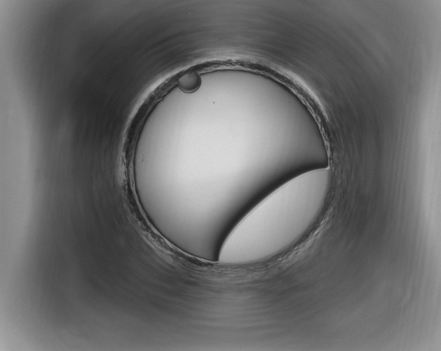 X0000116590927200912101329