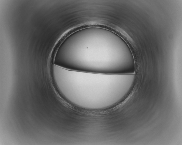 X0000116590934200912101329