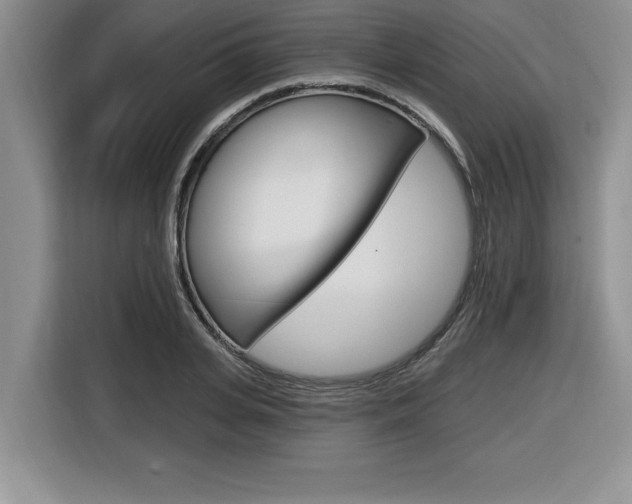 X0000116590935200912101329