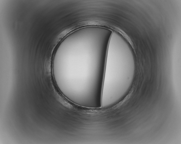 X0000116590938200912101329