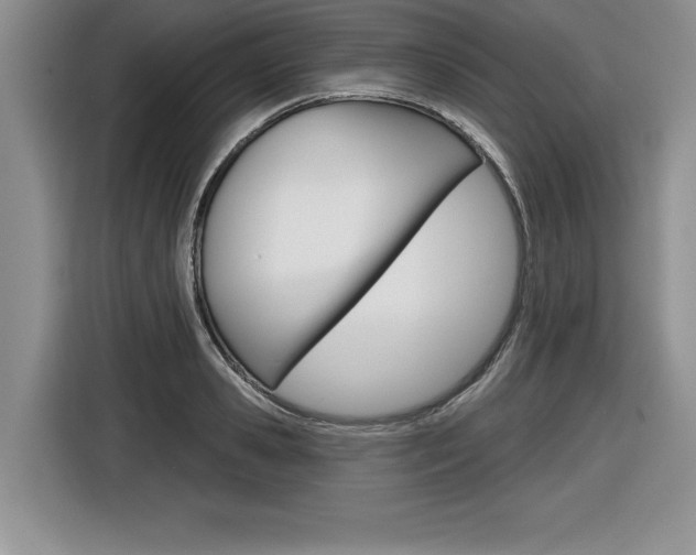 X0000116590941200912101329