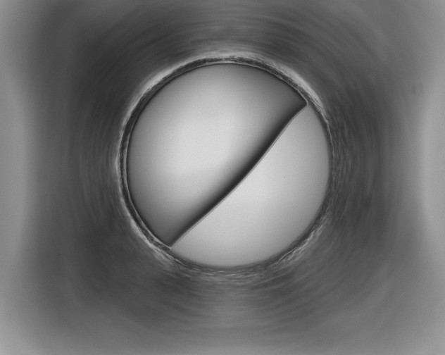 X0000116590943200912101329