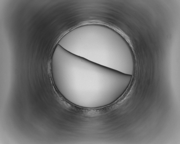 X0000116590945200912101329