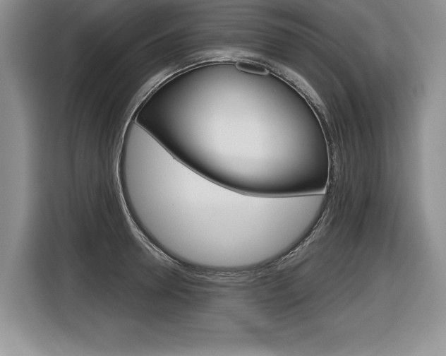 X0000116590946200912101329
