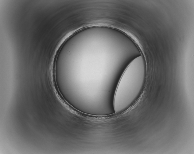 X0000116590949200912101329