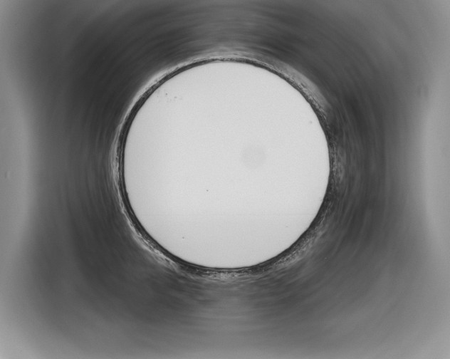X0000116590950200912101329