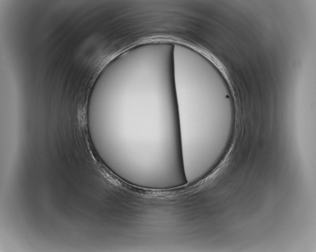 X0000116590953200912101329