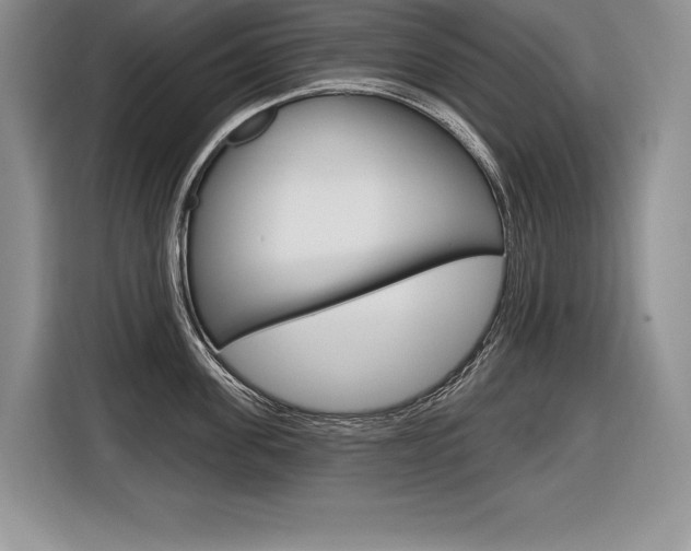 X0000116590955200912101329
