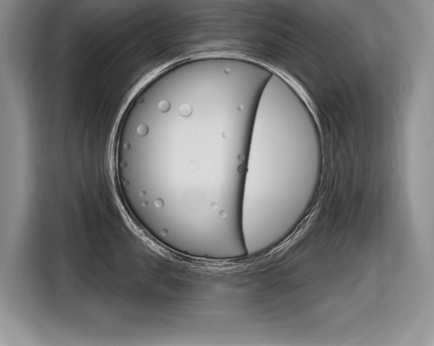 X0000116590957200912101329