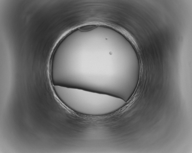 X0000116590958200912101329