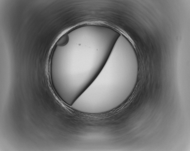 X0000116590959200912101329