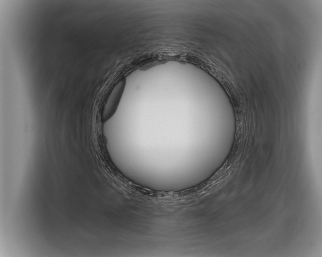 X0000116590961200912101328