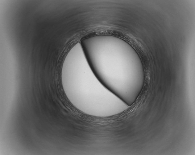 X0000116590964200912101328